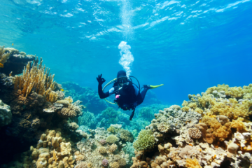 Plongée sous-marine à l'île Maurice : explorateur sous l'eau avec palmes, tuba et masque