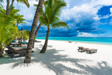 Découvrez les 10 meilleures plages de l'île Maurice pour la plongée !