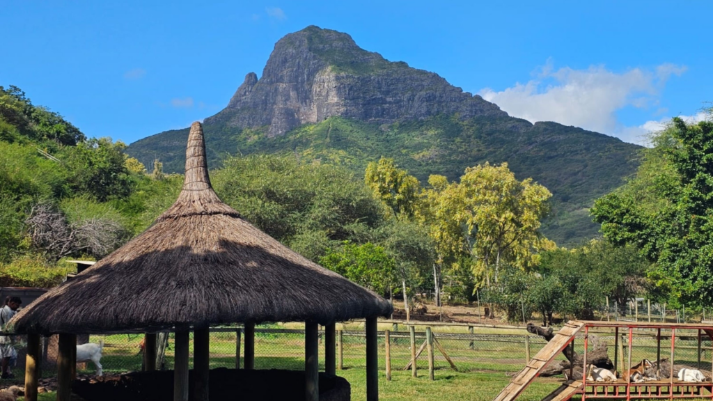 Passer par une agence d'accompagnement à l'expatriation est indispensable pour réussir son projet de création d'entreprise à Maurice.